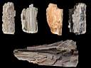petrified wood0008.jpg